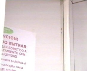 DESINSECTAR OFICINA (1)  BASURA